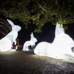 The lights of the Vivid festival in Sydney, Australia, 2014