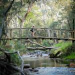 Thule B24 in Bright, Victoria
