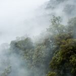 Morton National Park