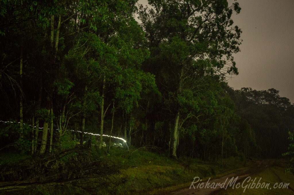 True Grit and the 2017 24hr obstacle racing Aussie Trails