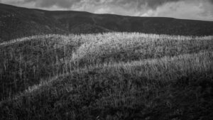 Favourite image of 2023 – 081223_7235