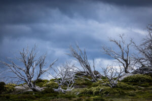 Favourite image of 2023 – 091223_7351