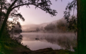 A misty morning at the Kangaroo river in Kangaroo Valley.