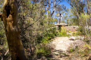 Mountain biker riding at Oxford Falls, Sydney – 210124_5008