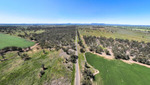 Looking towards the Warrumbungles from out west