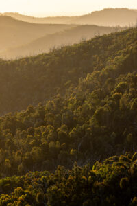 Ridges in Warrumbungle National Park