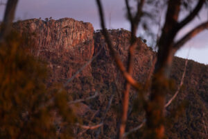 Last light on the cliffs, Warrumbungles National Park