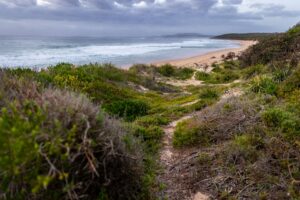 Sea Otter Australia 2025 mountain bike festival – MC56025