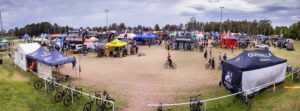 Sea Otter overview