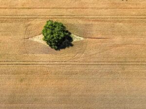Aerial view at Parkes Goodness Gravel 2025, Parkes NSW – DJI_0193