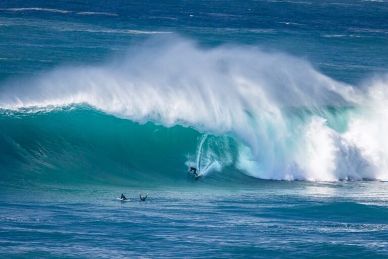 Action portfolio — surfing