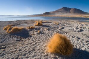 Lago Colorado lies near the border with Chile, Potosi, Bolivia
