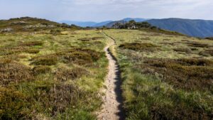 Mountain trail, Falls Creek, Victoria