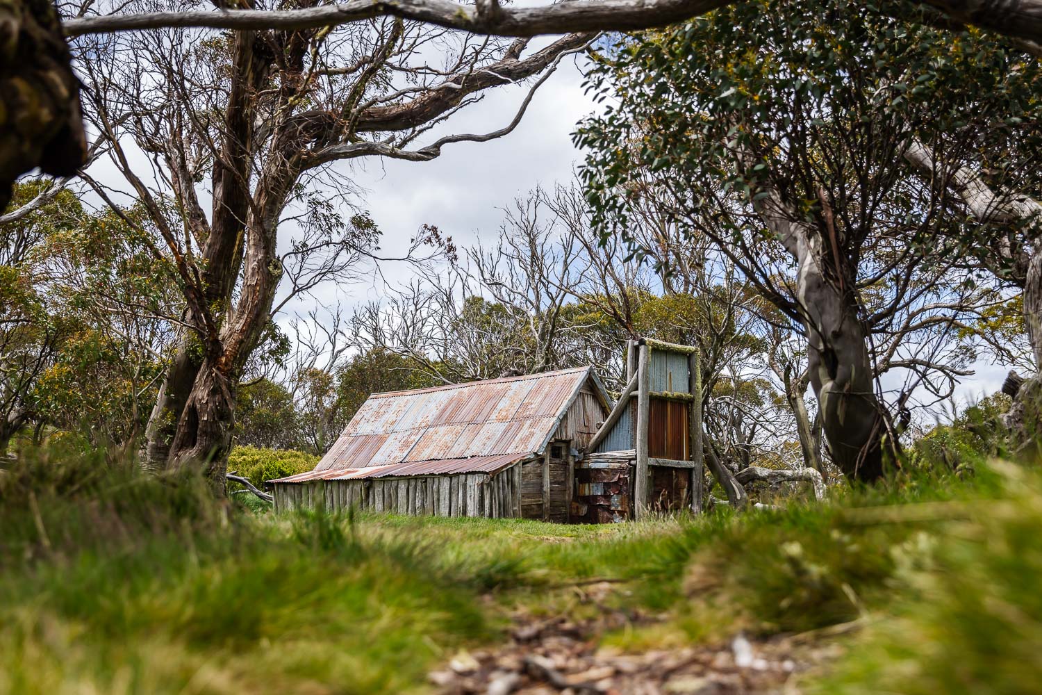 Wallace Hut in the Victorian high country