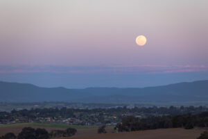 Trail runner at the Lonely Mountain Ultra 2026, Mount Canobolas, Orange NSW – 3brdgLMU-7520
