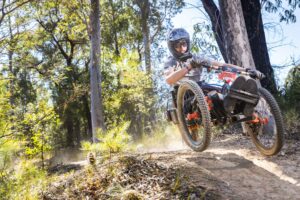 Rider kicking up dust on a trail between gum trees